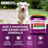 Complément Articulations et Vitalité Chien — 11 en 1