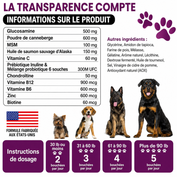 Complément Articulations et Vitalité Chien — 11 en 1