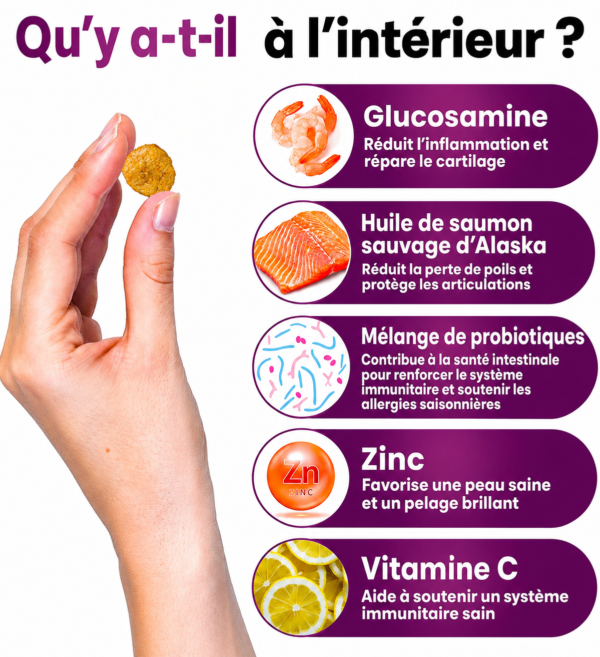 Complément Articulations et Vitalité Chien — 11 en 1